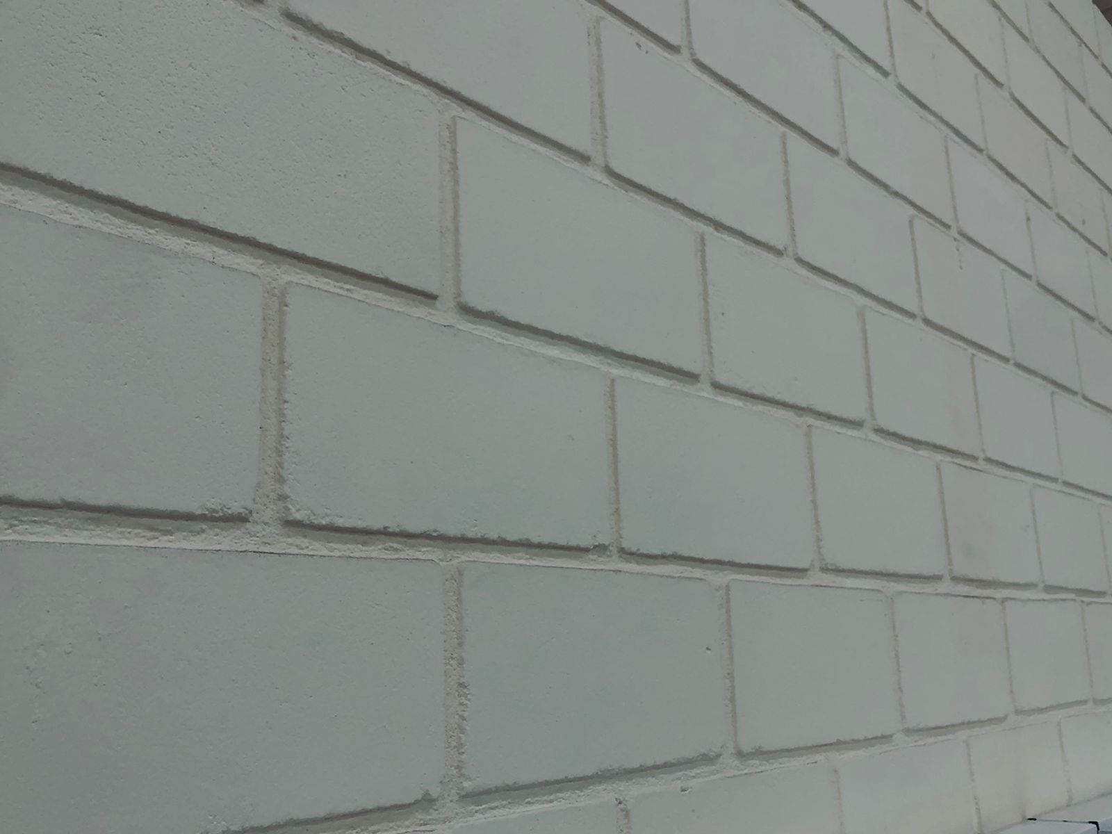 WhatsApp Image 2022-10-14 at 19.08.59.jpeg